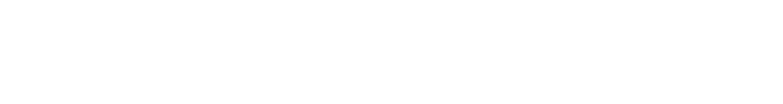 Activities and Tours